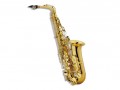 Alto and Soprano saxophone complete renovation